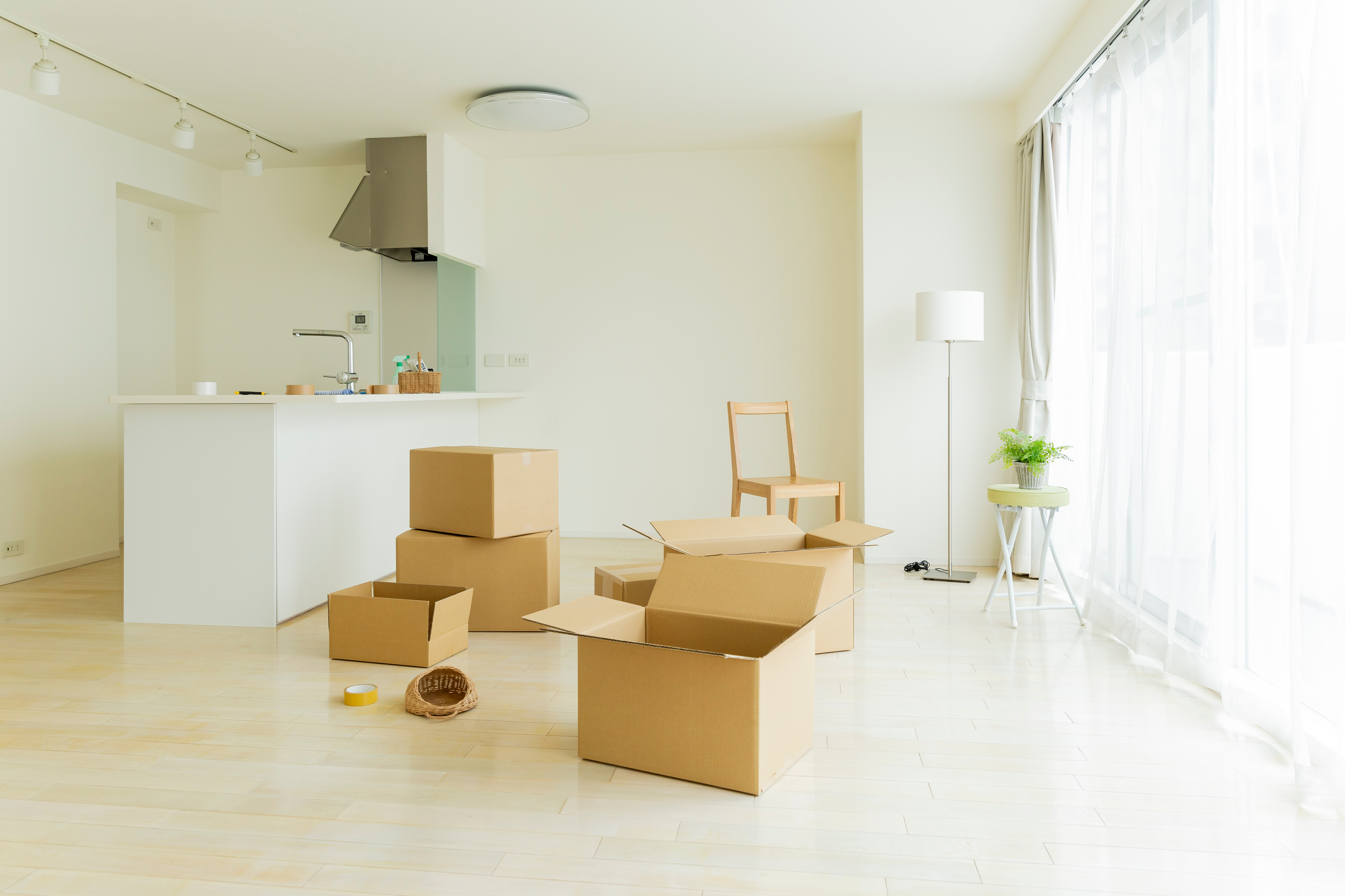 AdobeStock_235238754 (1) (1)